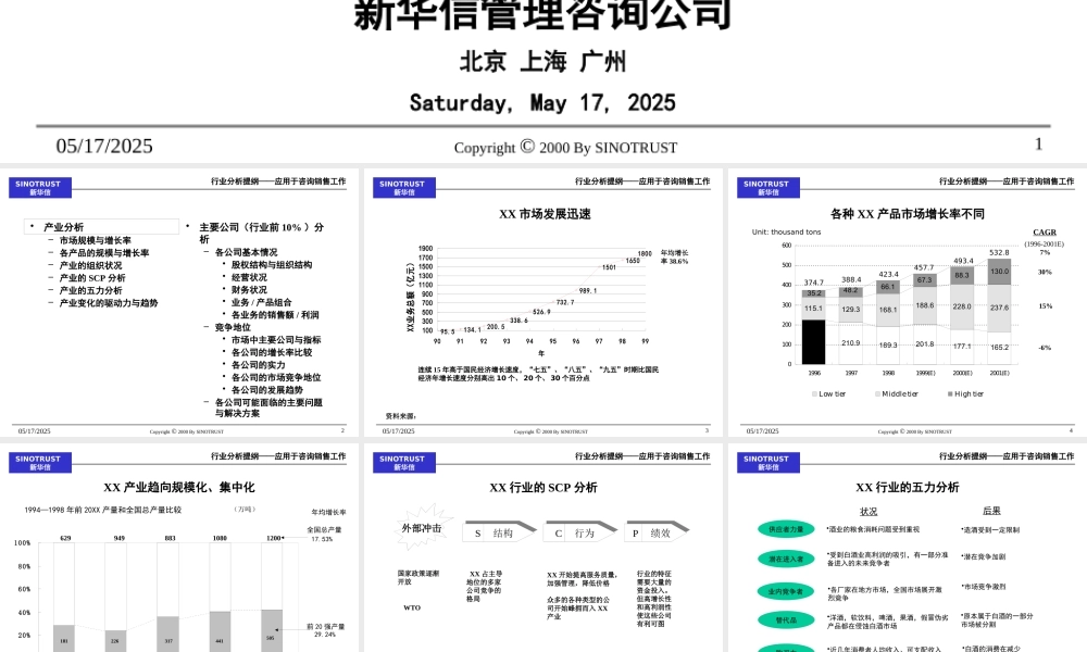 【新华信】行业分析提纲-应用于咨询销售工作