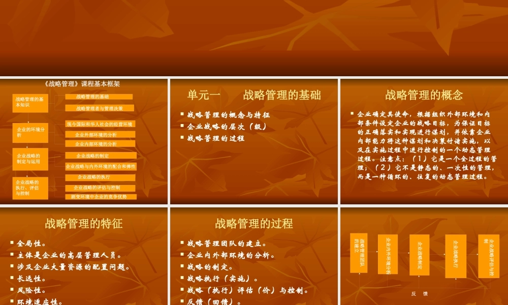 《战略管理》课程总复习(ppt 115)