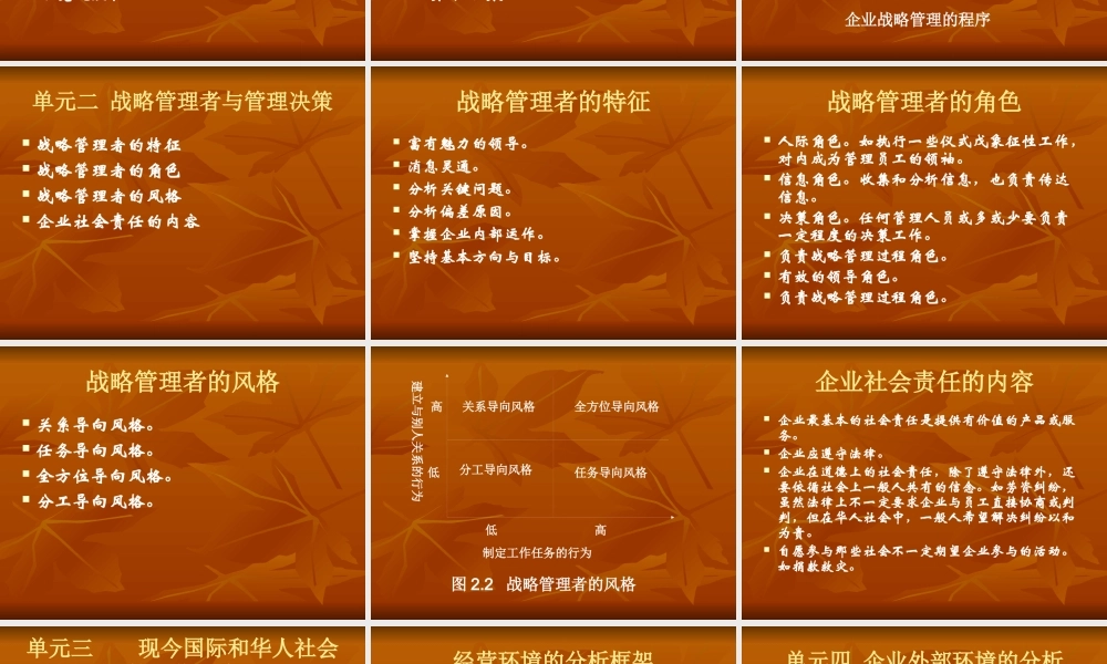 《战略管理》课程总复习(ppt 115)