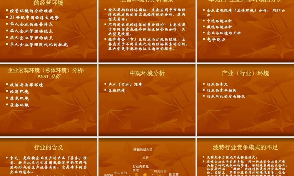 《战略管理》课程总复习(ppt 115)