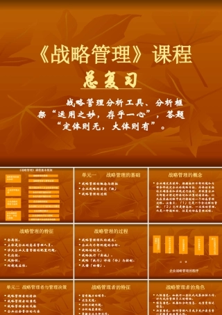 《战略管理》课程总复习(ppt 115)