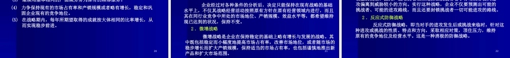 《战略管理EMBA课程》整套教授讲义05