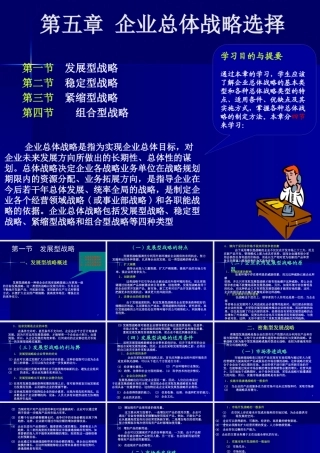 《战略管理EMBA课程》整套教授讲义05