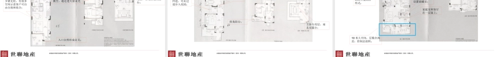 世联_TownHouse产品户型专题报告_36PPT