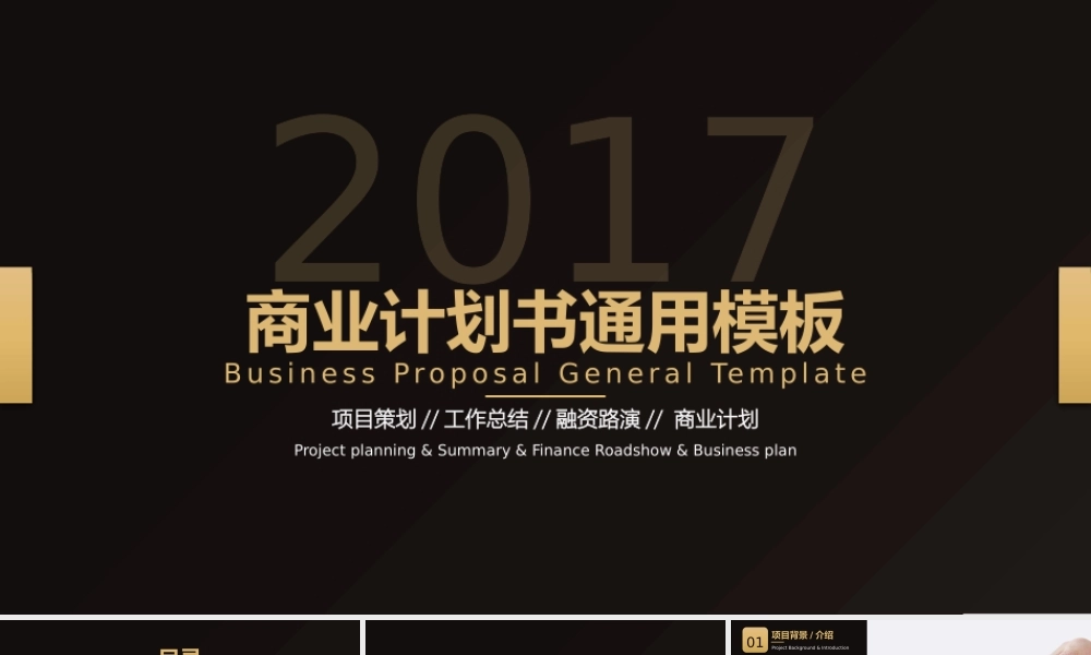 【赢战职场】黑金高端商业计划书通用模板01