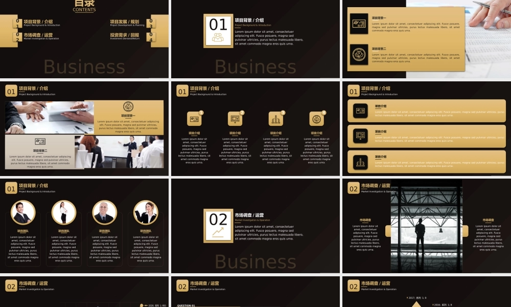 【赢战职场】黑金高端商业计划书通用模板01