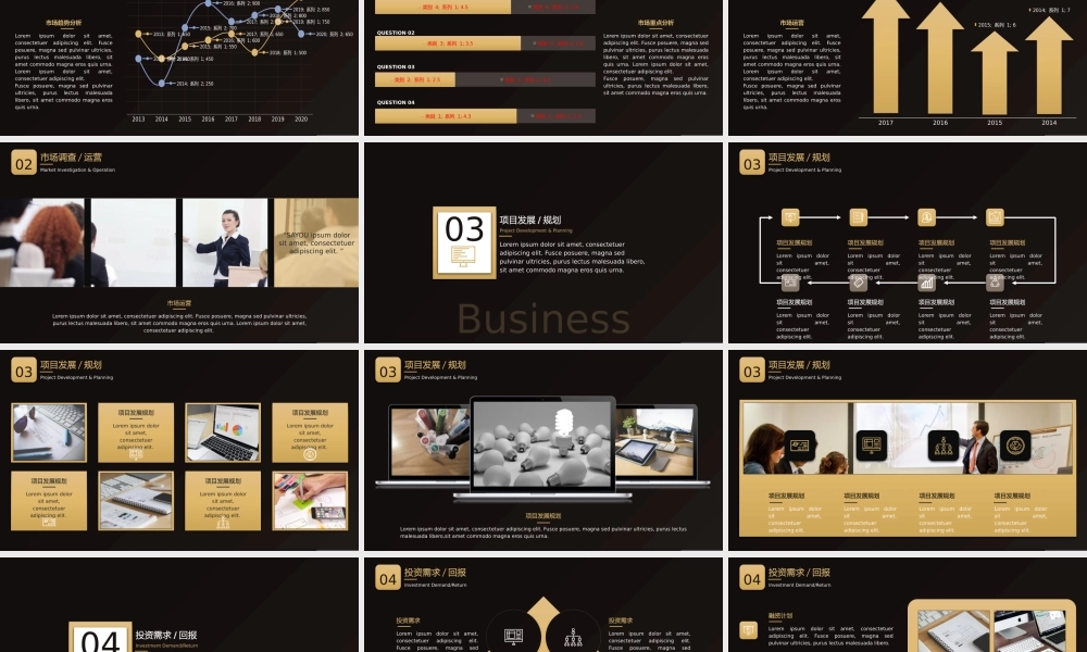 【赢战职场】黑金高端商业计划书通用模板01