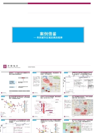 世联_案例借鉴_寻找城市区域发展的规律_18PPT
