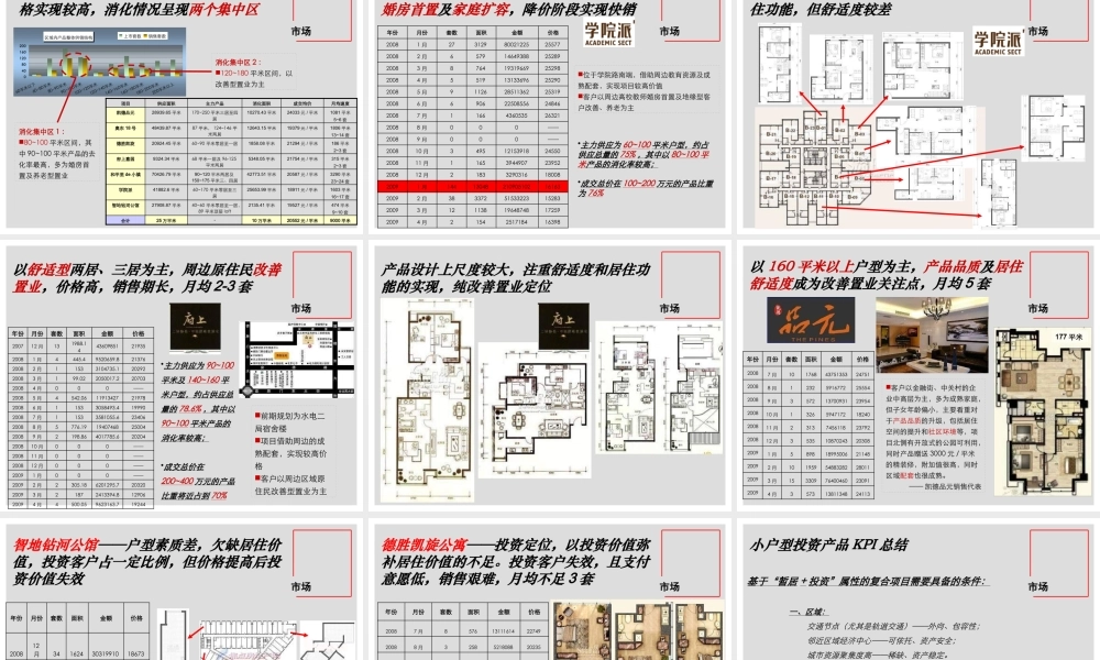世联_北京京师大德秀轩项目发展策划投标报告_111PPT_2