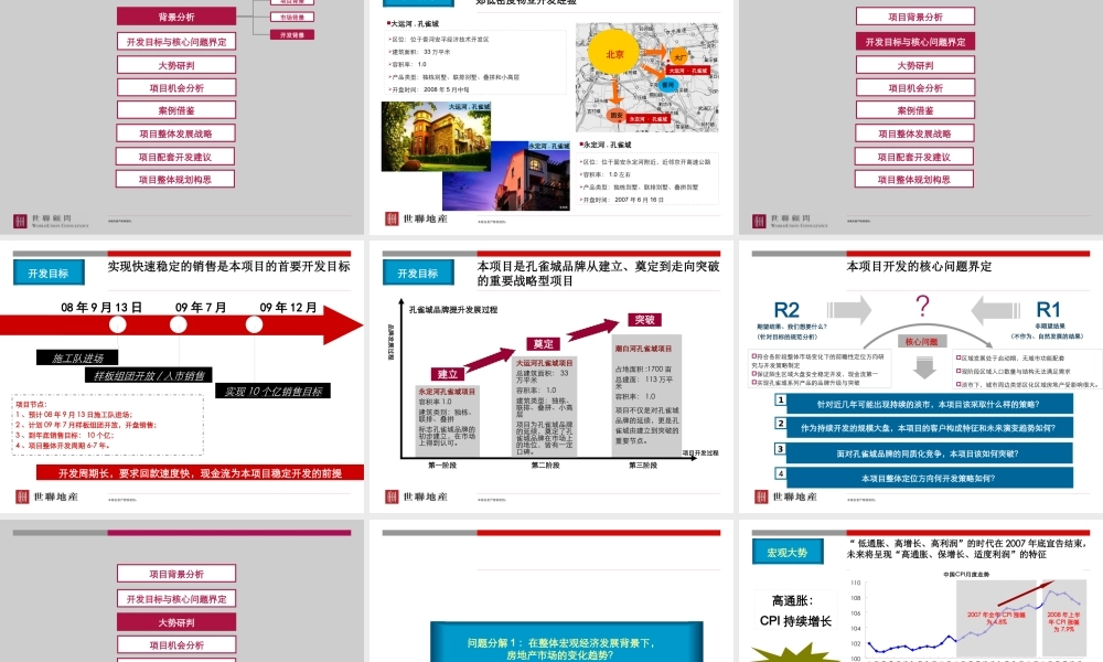 世联_北京京御大厂潮白河项目整体定位与发展战略中期汇报_13