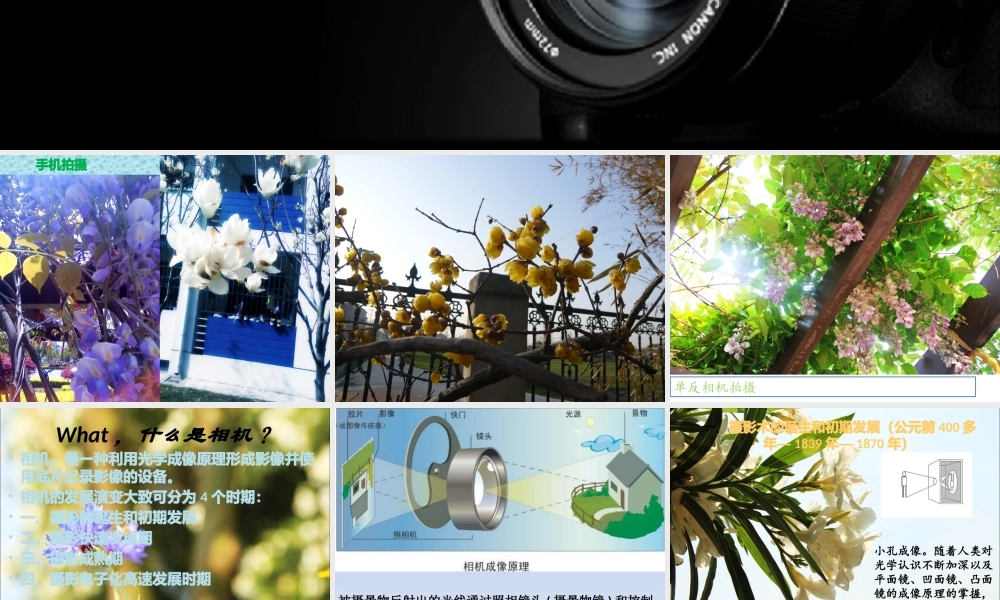 《照相机发展史(图文)》