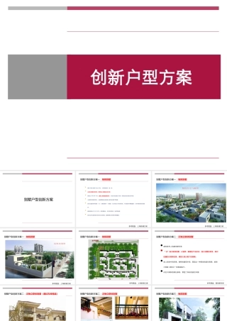 世联_别墅户型创新专题研究_17PPT
