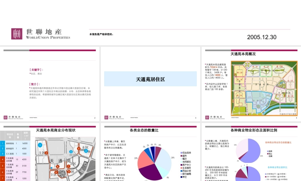 世联_城市边缘大型居住区商业模式研究