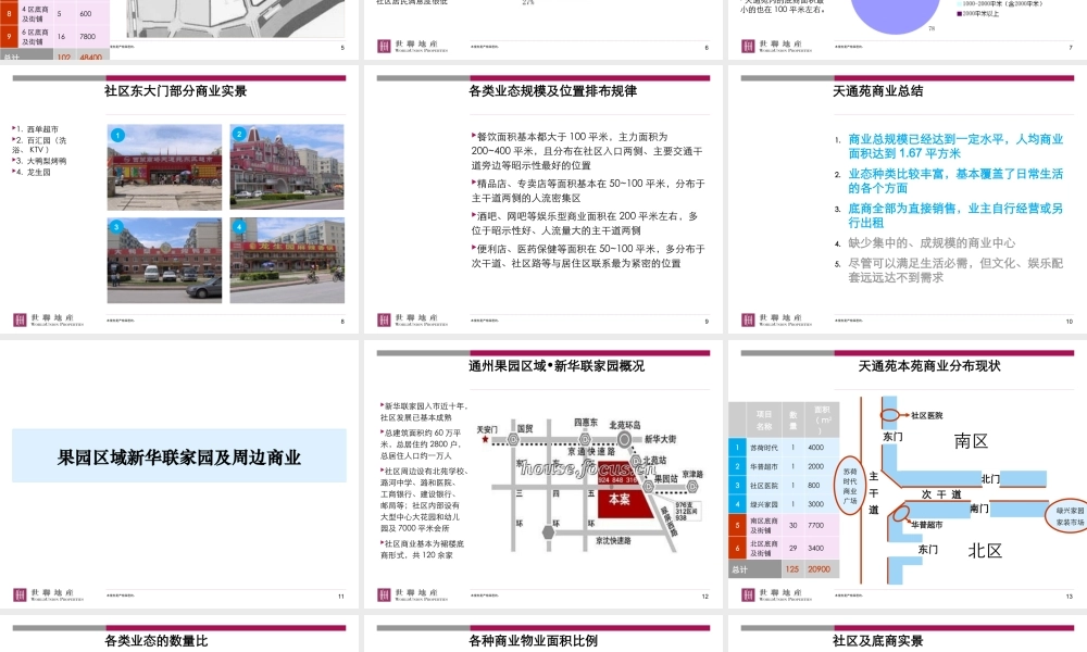 世联_城市边缘大型居住区商业模式研究