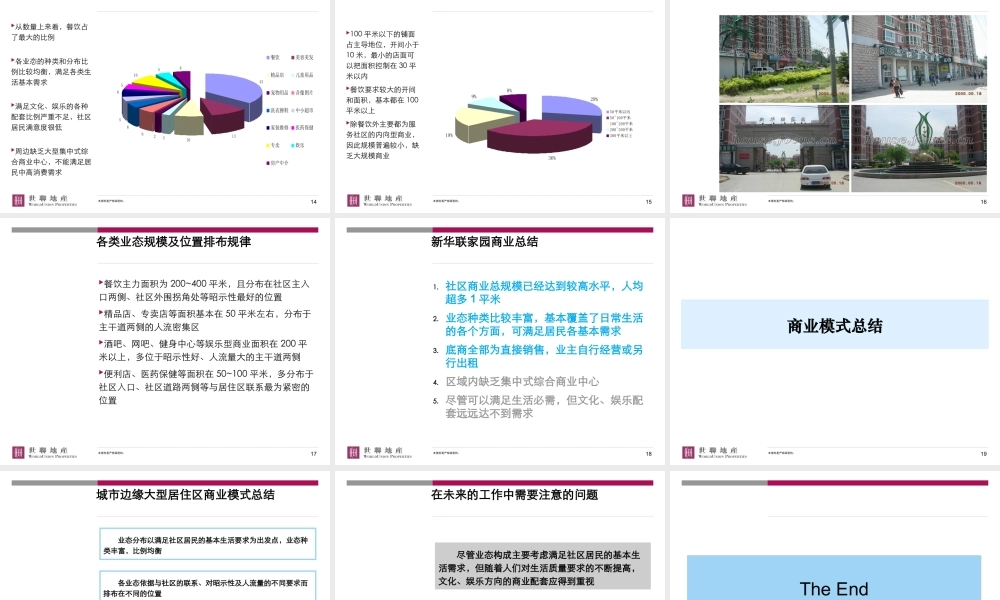 世联_城市边缘大型居住区商业模式研究