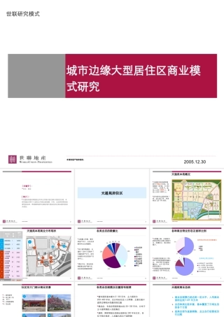 世联_城市边缘大型居住区商业模式研究