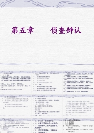 《侦查策略》第五章侦查辨认