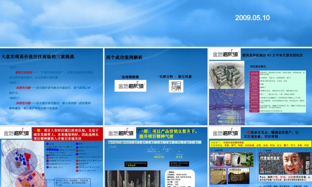 世联_城市大盘开发模式及策略研究_35PPT