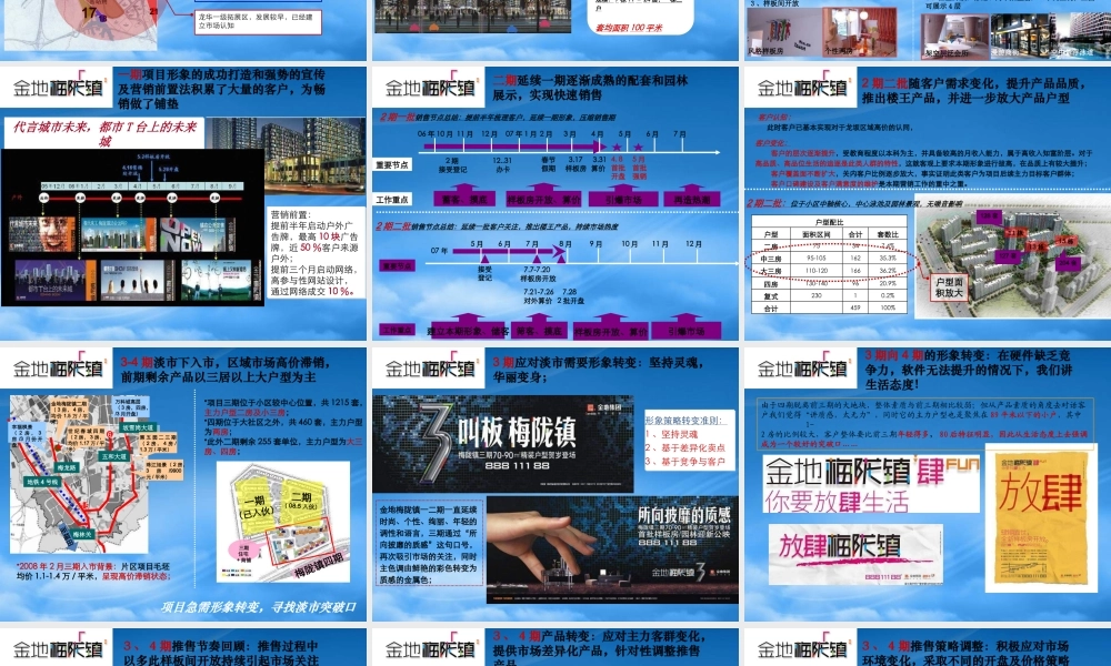 世联_城市大盘开发模式及策略研究_35PPT