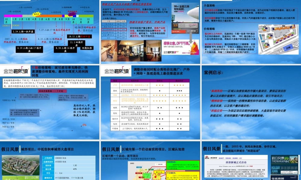 世联_城市大盘开发模式及策略研究_35PPT