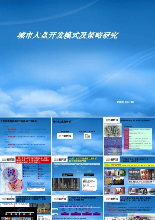 世联_城市大盘开发模式及策略研究_35PPT