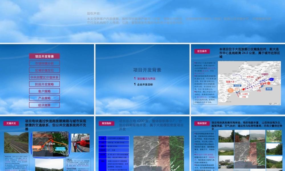 世联_大连友谊鲍鱼肚项目整体定位报告_251PPT