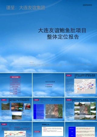 世联_大连友谊鲍鱼肚项目整体定位报告_251PPT