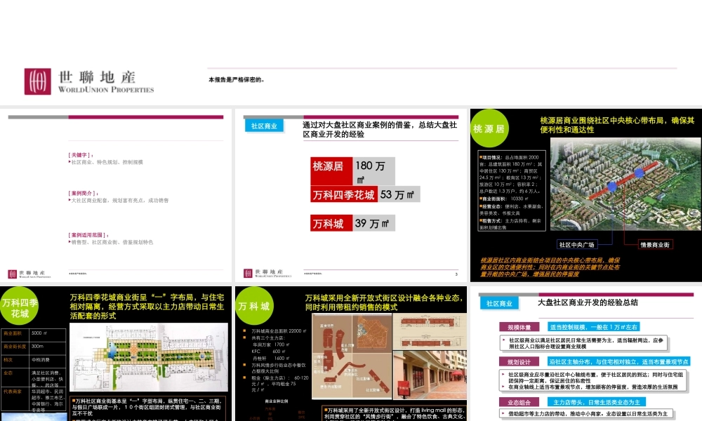 世联_大社区配套商业开发模式研究_8P