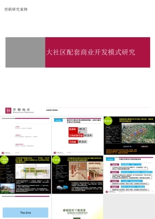 世联_大社区配套商业开发模式研究_8P