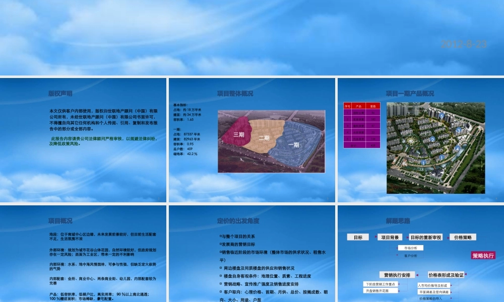世联_东莞金域中央价格报告_70_别墅_公寓_定价策略
