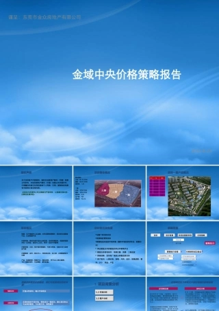 世联_东莞金域中央价格报告_70_别墅_公寓_定价策略