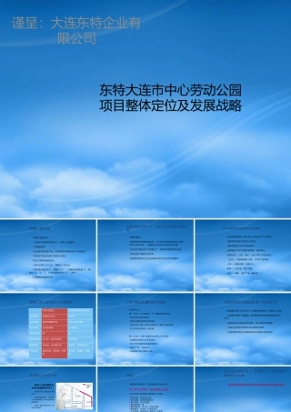 世联-_东特大连市中心劳动公园项目整体定位