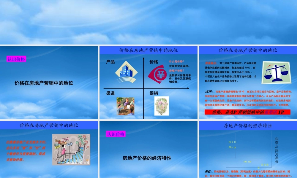 世联_房地产定价及价格策略