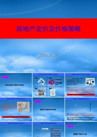 世联_房地产定价及价格策略