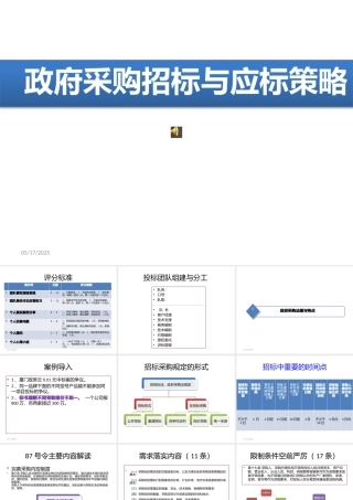 《政府采购招标与应标策略》
