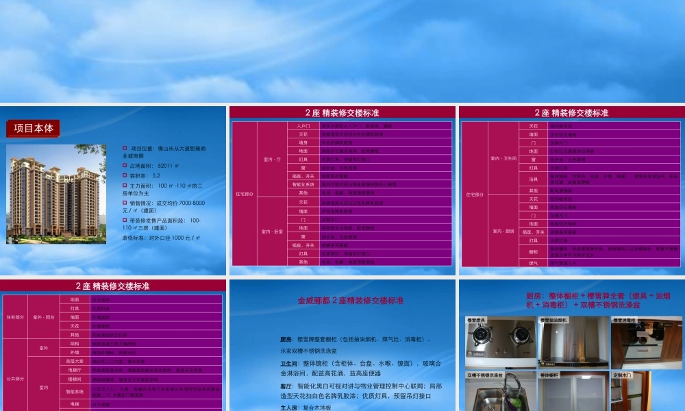 世联_佛山金威郦都_精装修交楼标准沉淀分享_13P_XXXX
