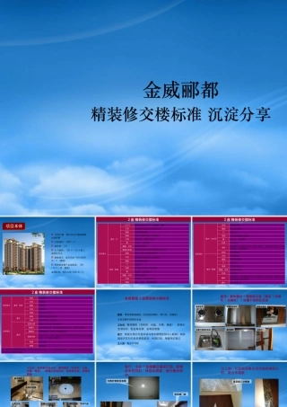 世联_佛山金威郦都_精装修交楼标准沉淀分享_13P_XXXX