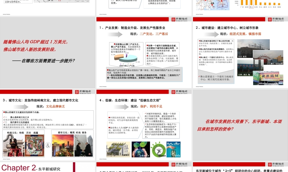 世联_广东佛山东平新城中央商务区项目区域发展策划报告_131页