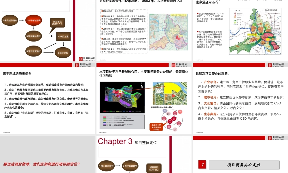 世联_广东佛山东平新城中央商务区项目区域发展策划报告_131页