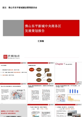 世联_广东佛山东平新城中央商务区项目区域发展策划报告_131页