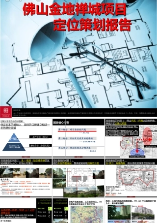 世联_广东佛山金地禅城项目定位策划报告_118页_XXXX年