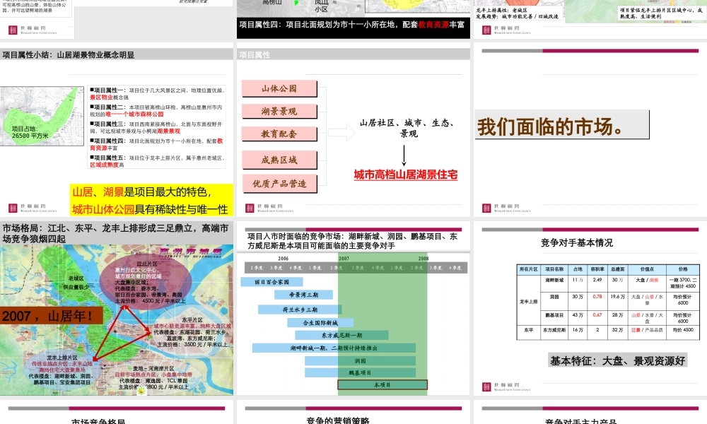 世联_广东惠州高榜山项目定位策划报告76页