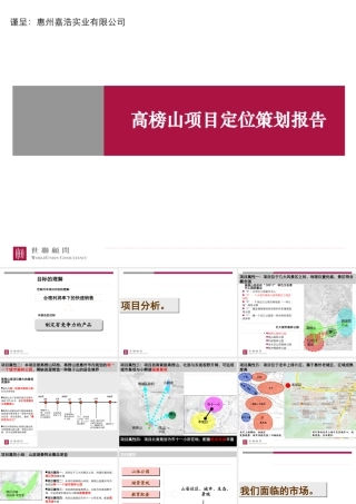 世联_广东惠州高榜山项目定位策划报告76页