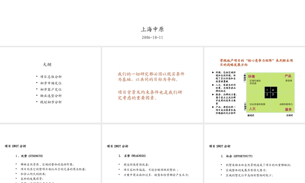 【中原】06年佘山桃园路项目整体定位及产品研究