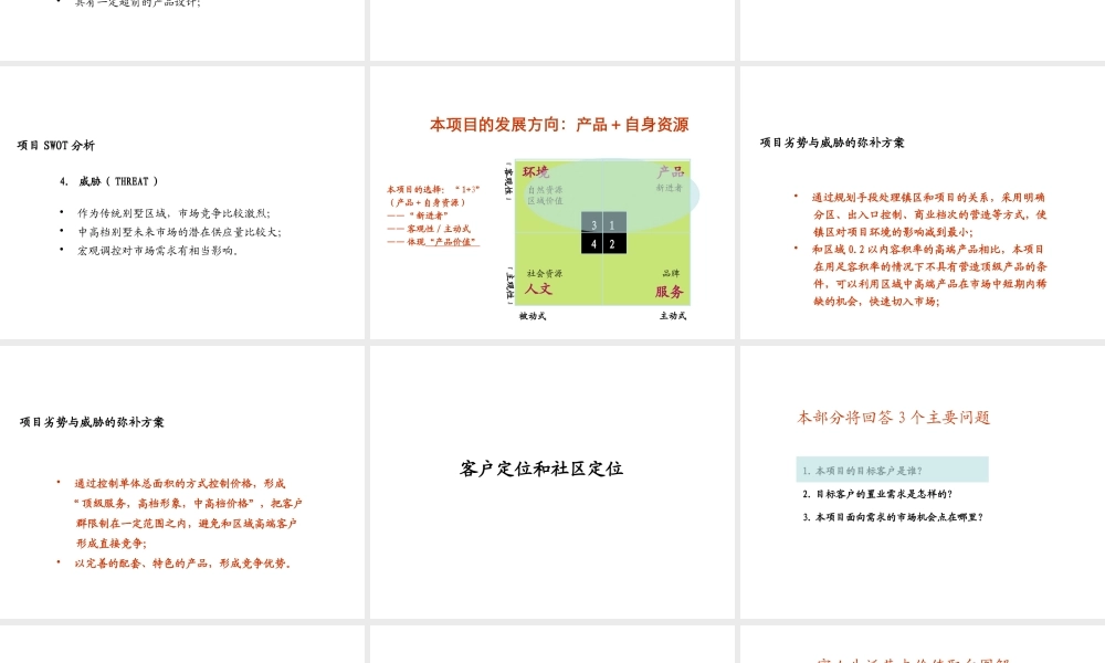 【中原】06年佘山桃园路项目整体定位及产品研究