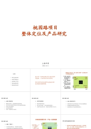 【中原】06年佘山桃园路项目整体定位及产品研究