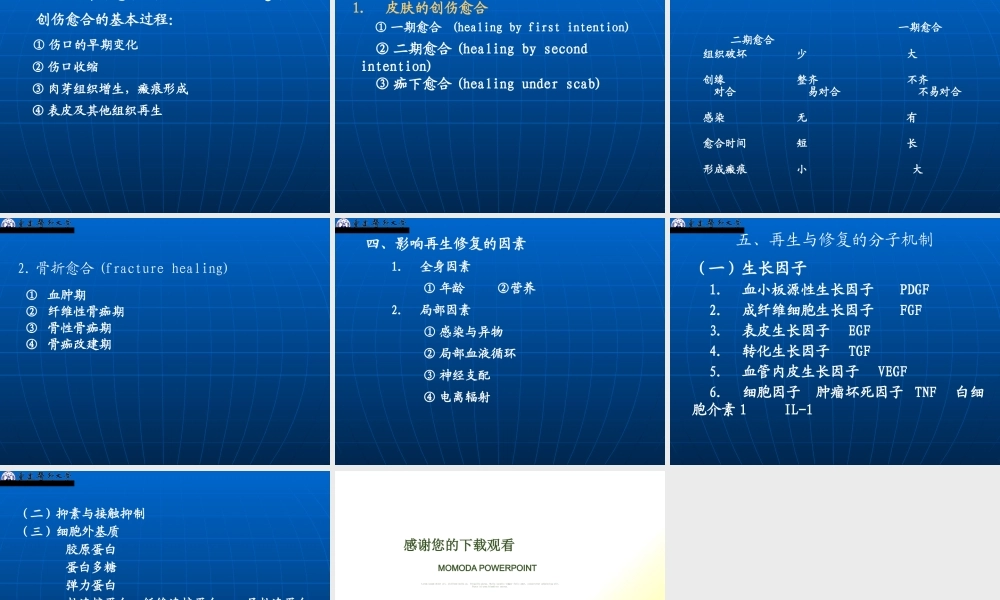 【重庆医科大学】病理学---细胞和组织的适应、损伤