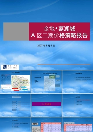 世联_广州金地_荔湖城_A区二期价格策略报告_45PPT