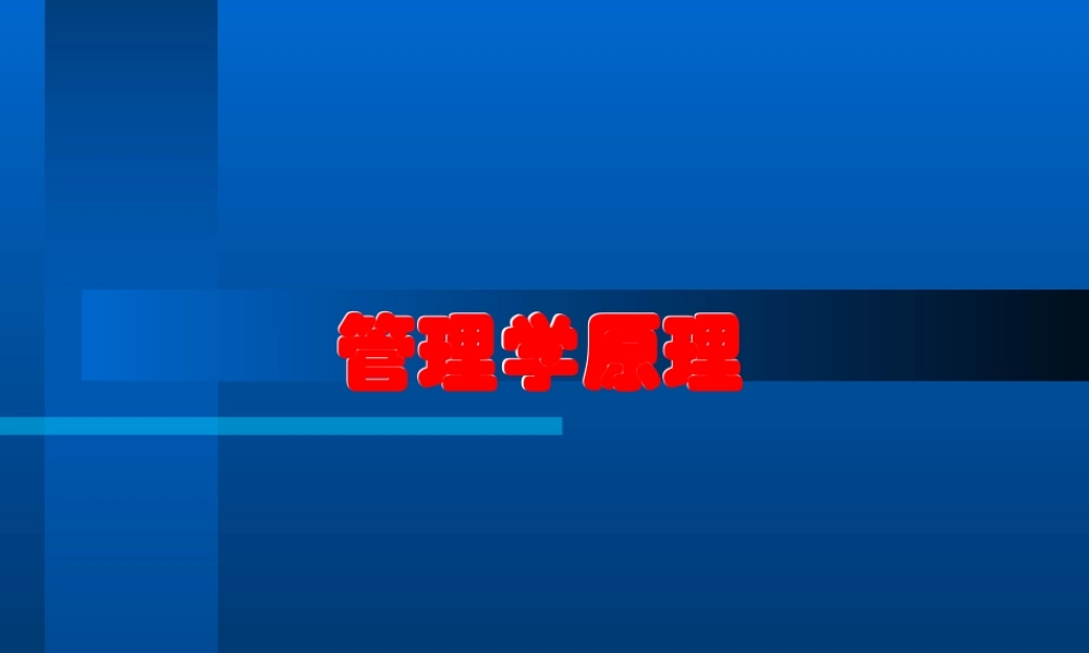 【卓越领导】管理学原理课件