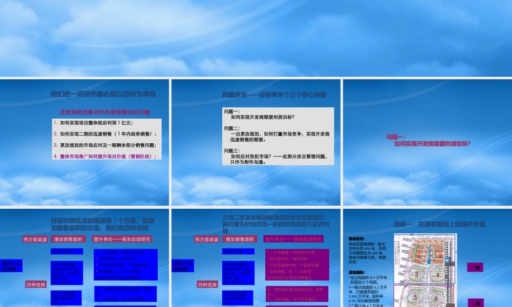 世联_合肥都成印象项目整体定位报告_129PPT